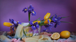 Vase flowers lemon table purple - a purple wall free wallpaper