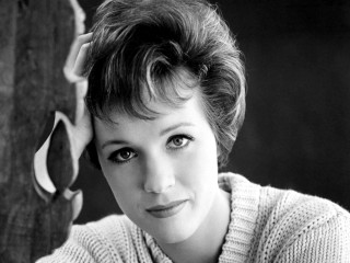 Woman sweater posing picture hair - a sweater free wallpaper