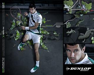 Man tennis racquet court ivy - a tennis racquet free wallpaper
