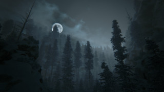 Full moon forest night fog - caspar wolf free wallpaper