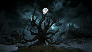 Tree full moon snow ground - a dark sky free wallpaper