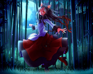 Woman red dress forest wolf - a wolf free wallpaper