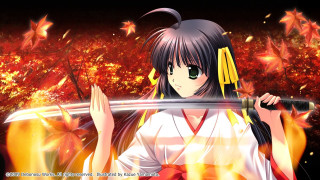 Woman sword fire leaves sky - a sword in front free wallpaper