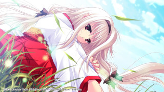 Girl white hair red dress - a field of grass and grass free wallpaper for desktop