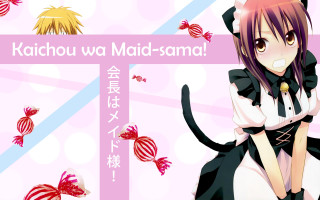Girl cat ears black white - banner free wallpaper