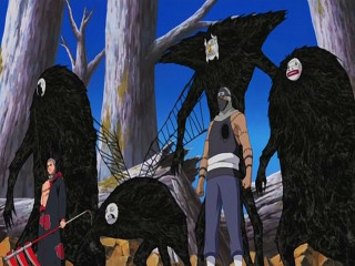 People animals forest trees sky - tree and a sky background free wallpaper