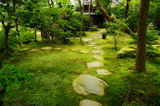 Lush forest path stepping stones - a house in the distance free wallpaper