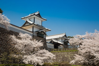 Building tower cherry blossoms hill - japan eishōsai chōki free wallpaper