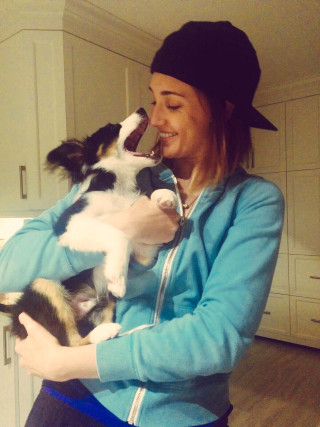 Woman holding dog kitchen white - free cats wallpaper for mobile