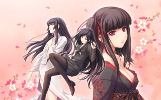 Anime girls long hair black 11 - long black hair free wallpaper