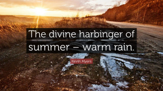 Divine harbinger of summer warm - warm free wallpaper