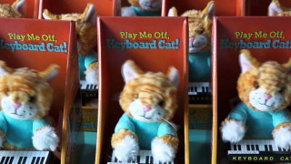 Stuffed animals box keyboard cat - a box free wallpaper