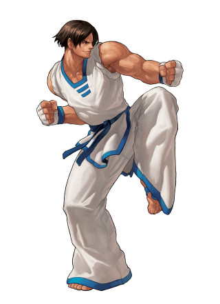 Man white karate kick fist - his fist free wallpaper