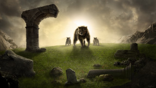 Animals green field stone arch - a lush green field next free wallpaper