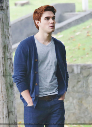 Man tree park greenfield stonewall - a green field behind free wallpaper for mobile