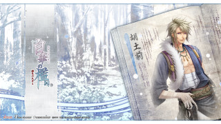 Man sword book snow scene - a book free wallpaper