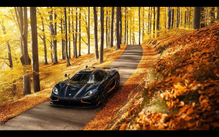Black sports car autumn road - autumn free wallpaper for desktop