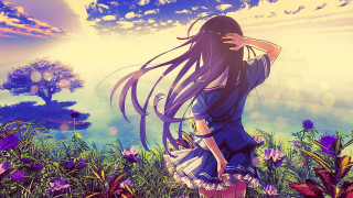 Girl long hair field flowers 3 - a field of flowers free wallpaper