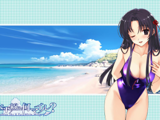 Woman bikini beach ocean blue - behind her free wallpaper