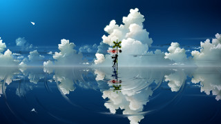Person cloud sky reflection tree - the water and a bird free wallpaper