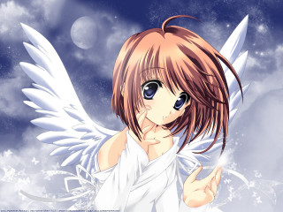 Girl angel wings sky stars - angel free wallpaper