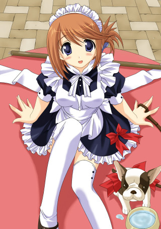 Girl maid outfit bed dog - a bed free wallpaper for mobile