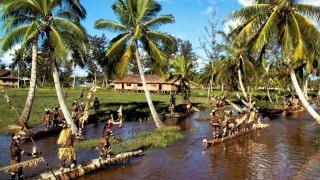 Wooden boats river palm trees - palm tree and a hut free wallpaper