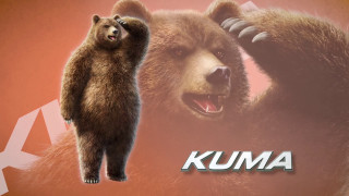 Bear kuma furry concept animal - dong kingman free wallpaper