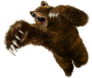 Bear claws air mouth wide 2 - mouth wide open free wallpaper