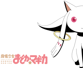 White cat ring neck pink - a black tail free wallpaper