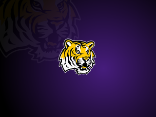 Tiger head purple background black 2 - the right side of the image free wallpaper