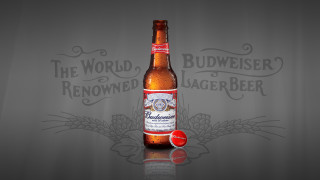 Beer red cap grey background - a bottle of beer free wallpaper