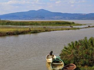 Boats water grassy shoreline mountains - ecological art free wallpaper