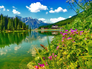 Lake mountains flowers sky clouds - a mountain range free wallpaper