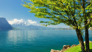 Tree water mountains blue sky - anthony s waters free wallpaper