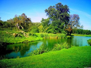 River lush green park field - a sunny day free wallpaper for desktop