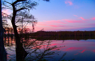 Tree water sunset pink sky 3 - sky in the background free wallpaper