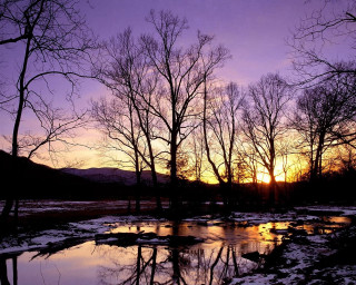 Sunset trees water ice floes - a sunset free wallpaper for desktop