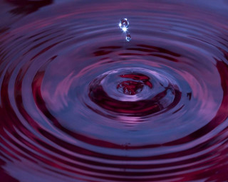 Water drop red purple blue - macro photography free wallpaper
