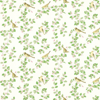 White background birds leaves green - bird free wallpaper for tablet