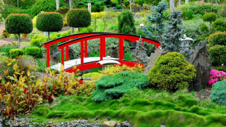 Red bridge pond trees bushes - rock and grass free wallpaper