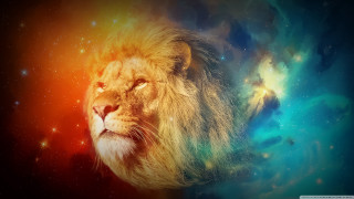 Lion colorful background stars sky - the sky behind free wallpaper