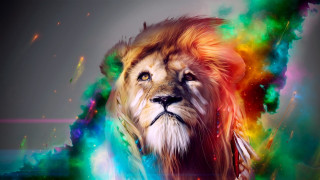 Lion colorful mane rainbow swirls 3 - a lion free wallpaper for desktop