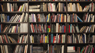Bookshelf cat academic art library - criterion collection free wallpaper