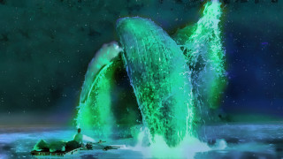 Green whales jumping ocean boat - bioluminescence free wallpaper