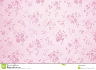 Pink floral background white border - a green border free wallpaper
