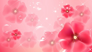 Pink background bubbles flowers gold - carlos trillo name free wallpaper for desktop