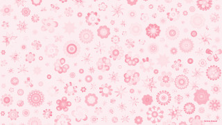 Pink white flower pattern background 2 - a white background free wallpaper