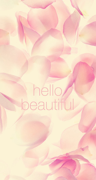 Pink flower hello beautiful white - pink petal free wallpaper for mobile
