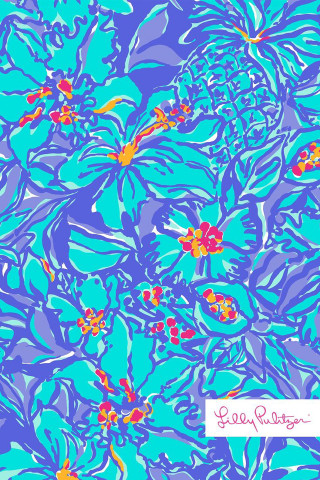 Blue red flower pattern white 2 - the bottom of the image free wallpaper